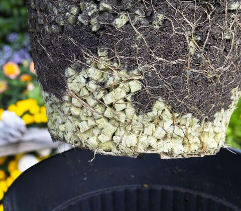 Vækstcubes 10 liter