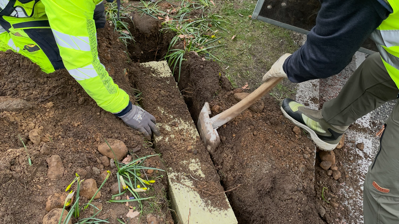 Træer der døjer med dårlig vækst eller ikke gror kan få hjælp