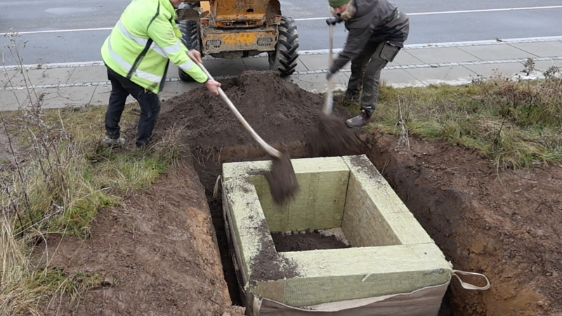 bæredygtig træplantning vandbesparende natur
