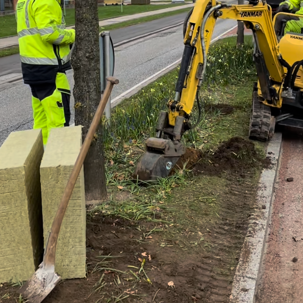 vejle hjælp til store træer 